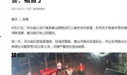 青山湖爆料盗窃案件最新,警方全力追捕，涉案嫌疑人浮出水面