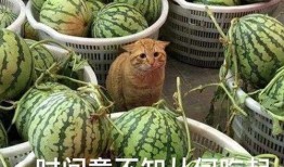 最新爆料瓜条,揭秘娱乐圈惊天秘密