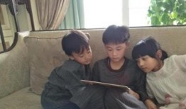 林生斌杭州爆料了吗最新消息,揭秘真相与舆论焦点