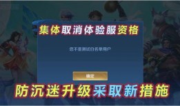 王者防沉迷最新爆料,揭秘最新爆料与实施细节