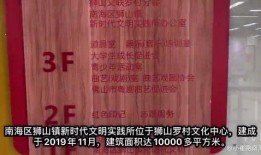 狮山最新爆料新闻视频,揭秘视频背后的惊人真相！