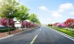 最新爆料绿山路,揭秘神秘项目背后的真相与未来展望