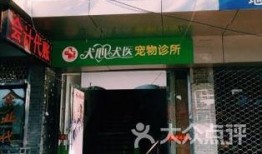 温州宠物店爆料信息最新