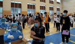 文安碧桂园爆料最新消息,揭秘项目进展与未来规划