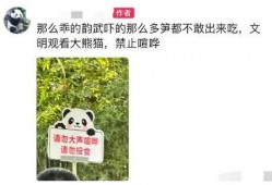 最新爆料瓜条,揭秘娱乐圈惊天秘密