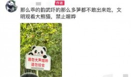 最新爆料瓜条,揭秘娱乐圈惊天秘密