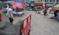 泉州车祸最新爆料新闻,事故原因及伤亡情况披露