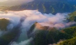 岳山原画爆料视频大全最新,揭秘幕后创作魅力