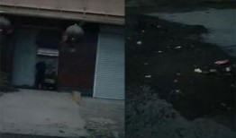 河北霸州爆料事件最新,揭秘背后真相与网络舆论风暴