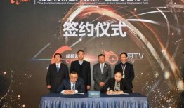 成都高新爆料事件视频最新,揭秘背后真相与争议