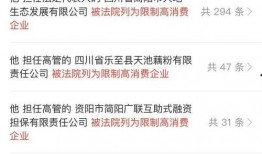 从化欠款爆料案件最新,揭开背后利益纠葛与法律追讨之路