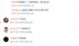 湖北碧桂园爆料最新消息,揭秘项目进展与未来规划