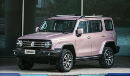 坦克300最新爆料油耗,高效动力与燃油经济的完美结合