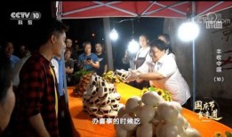 龙华厨师爆料视频最新版,最新版爆料视频深度解析