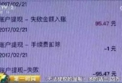 上海网约车最新爆料平台,平台动态与行业变革