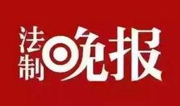 福彩最新爆料新闻直播,揭秘彩票行业背后惊人内幕