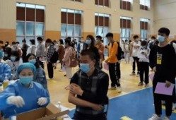 重庆小学爆料事件最新消息,真相揭开，家长震惊不已
