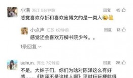 陈泽最新爆料视频播放,事件真相再引热议