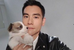 彭于晏爆料最新消息,揭秘演艺圈幕后真相！