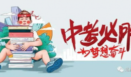 南极最新爆料消息视频,揭秘未知的极地奥秘