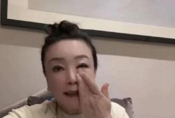张兰最新消息爆料视频播放,揭秘背后惊人真相