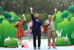 燕窝爆料新闻最新消息视频,最新消息视频揭露行业黑幕