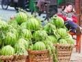 伊犁吃瓜最新事件爆料,揭秘背后惊人真相！